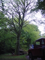 4th October 2008 024